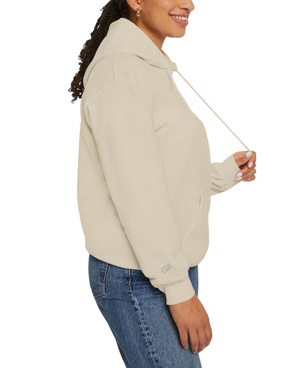 Origin: Chaos Embroidered Hoodie