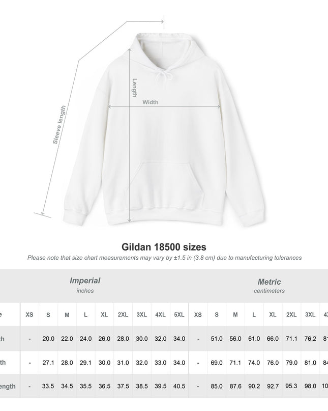 Origin: Chaos Embroidered Hoodie