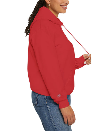 Origin: Chaos Embroidered Hoodie