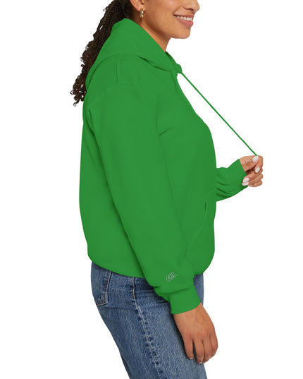 Origin: Chaos Embroidered Hoodie