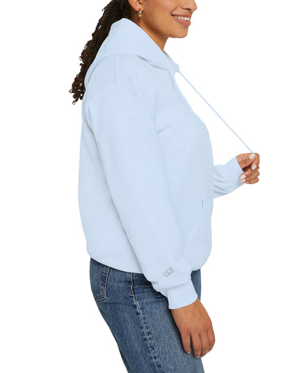 Origin: Chaos Embroidered Hoodie