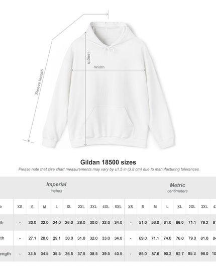 Origin: Chaos Embroidered Hoodie