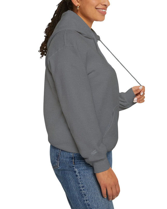 Origin: Chaos Embroidered Hoodie