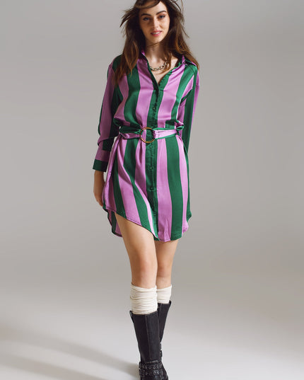 Short Shirt Dress in Lilac and Green Stripe